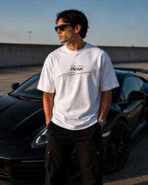 file_00000000f33c720b8f64baca93ff04d0 Men's Premium Travel Lifestyle oversized tshirt